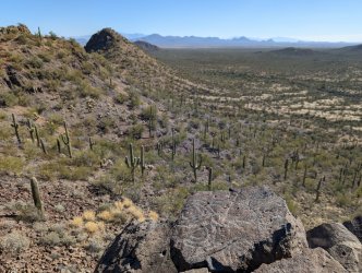 2022-02-21 10.17.27.jpg