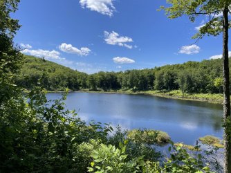 047956A1-9160-4F03-AF5B-43CA76788F52.jpeg 047956A1-9160-4F03-AF5B-43CA76788F52.jpeg