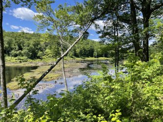 13111AE5-1B19-456B-BEBC-FAB7518FDEDD.jpeg 13111AE5-1B19-456B-BEBC-FAB7518FDEDD.jpeg