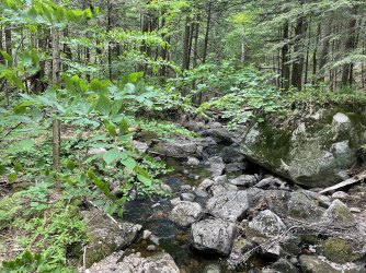 BA4DC842-E5B1-428E-8D92-C7EC4C24CC8F.jpeg BA4DC842-E5B1-428E-8D92-C7EC4C24CC8F.jpeg