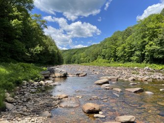 4A9EF0EA-150A-4C4E-9D12-C9DDC3D196B3.jpeg 4A9EF0EA-150A-4C4E-9D12-C9DDC3D196B3.jpeg