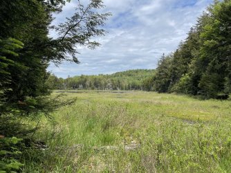 9FBA463F-3298-43CC-9225-17453D26B7F1.jpeg 9FBA463F-3298-43CC-9225-17453D26B7F1.jpeg