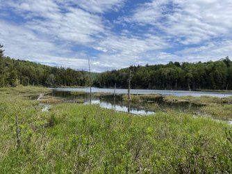 C22C0171-2B34-46DD-BE19-B00A6B14BC32.jpeg C22C0171-2B34-46DD-BE19-B00A6B14BC32.jpeg