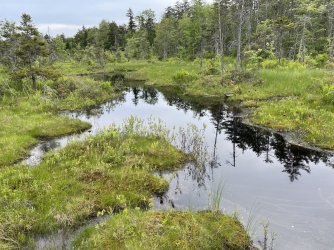 930D8B29-8989-4DB5-B34C-E0FB67F47B30.jpeg 930D8B29-8989-4DB5-B34C-E0FB67F47B30.jpeg