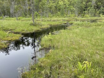 468512C4-E5D2-4063-BD34-EBE2356E9B9F.jpeg 468512C4-E5D2-4063-BD34-EBE2356E9B9F.jpeg