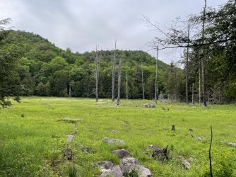 781B9D74-CABD-4AE8-B458-237D4DCC2833.jpeg 781B9D74-CABD-4AE8-B458-237D4DCC2833.jpeg