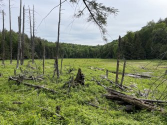 7E609502-5CAC-4A0D-9B96-9A4E0903CDD8.jpeg 7E609502-5CAC-4A0D-9B96-9A4E0903CDD8.jpeg