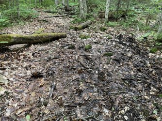 109F05B2-812A-47B8-A6AE-6E7D02E838A8.jpeg 109F05B2-812A-47B8-A6AE-6E7D02E838A8.jpeg