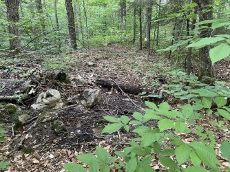 9BFCD74A-26E7-4942-9299-F1C083CB57D4.jpeg 9BFCD74A-26E7-4942-9299-F1C083CB57D4.jpeg