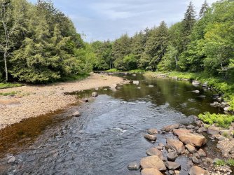 4FE3A108-1383-4B29-B479-EA7DAB2860A7.jpeg 4FE3A108-1383-4B29-B479-EA7DAB2860A7.jpeg