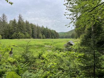 BB3C6456-BF2D-4BC2-B54F-1F70AA82B38F.jpeg BB3C6456-BF2D-4BC2-B54F-1F70AA82B38F.jpeg