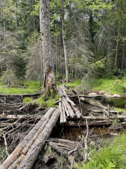 B157E1E1-DF49-4CB0-90CB-421BF00E29A7.jpeg B157E1E1-DF49-4CB0-90CB-421BF00E29A7.jpeg