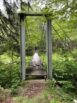 F95DAAAE-2239-4C92-9A56-86DF579D4F74.jpeg F95DAAAE-2239-4C92-9A56-86DF579D4F74.jpeg