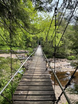 C66E70A0-065B-459A-B5BC-49FB9FE80F4D.jpeg C66E70A0-065B-459A-B5BC-49FB9FE80F4D.jpeg