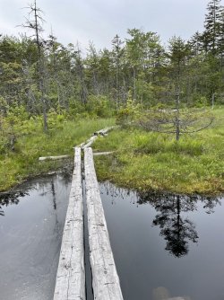 E5B9D296-4A63-4538-B3A6-552C88D6F1FE.jpeg E5B9D296-4A63-4538-B3A6-552C88D6F1FE.jpeg