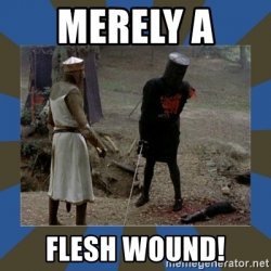 merely-a-flesh-wound.jpg merely-a-flesh-wound.jpg