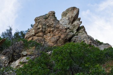 RCM03806-2022 Wanderings 2022-220611-5.jpg