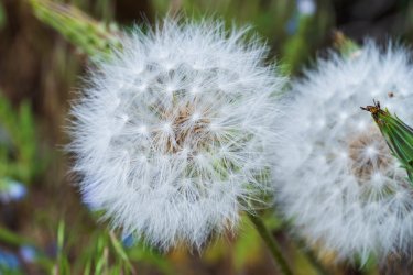 RCM03808-2022 Wanderings 2022-220611-6.jpg