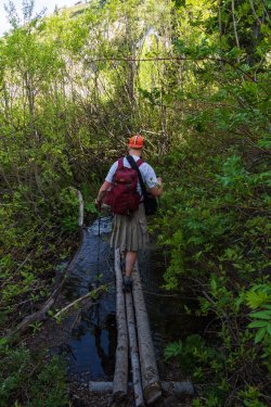 RCM03823-2022 Wanderings 2022-220611-15.jpg