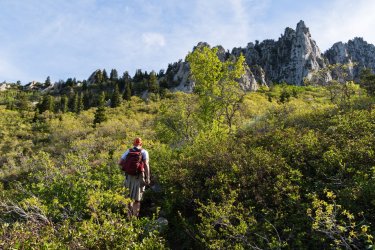 RCM03826-2022 Wanderings 2022-220611-18.jpg