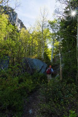 RCM03836-2022 Wanderings 2022-220611-26.jpg