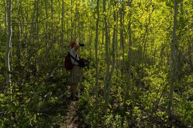 RCM03851-2022 Wanderings 2022-220611-38.jpg