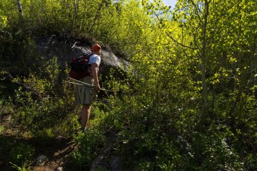 RCM03863-2022 Wanderings 2022-220611-46.jpg