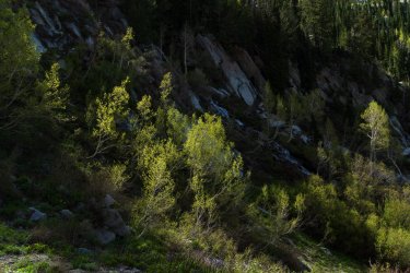 RCM03893-2022 Wanderings 2022-220611-66.jpg