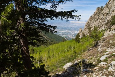 RCM03903-2022 Wanderings 2022-220611-71.jpg