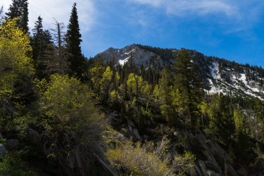 RCM03905-2022 Wanderings 2022-220611-73.jpg