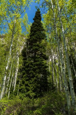 RCM03947-2022 Wanderings 2022-220611-12.jpg