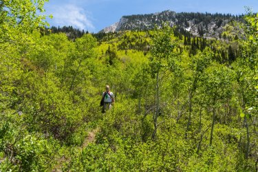 RCM03952-2022 Wanderings 2022-220611-16.jpg