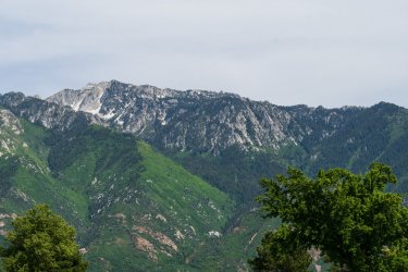 RCM03980-2022 Wanderings 2022-220611-29.jpg