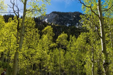 RCM03872-2022 Wanderings 2022-220611-53.jpg