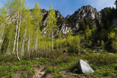 RCM03886-2022 Wanderings 2022-220611-63.jpg