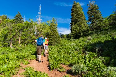 RCM03991-2022 Wanderings 2022-220618-6.jpg