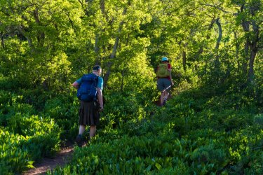 RCM04003-2022 Wanderings 2022-220618-17.jpg