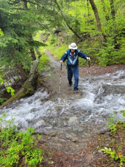 IMG_0256 20220611_121945.jpg