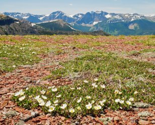 P1280078-copy-2.jpg P1280078-copy-2.jpg