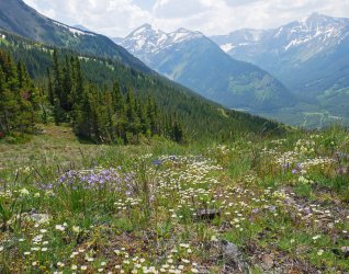 P1280196-copy-2.jpg P1280196-copy-2.jpg