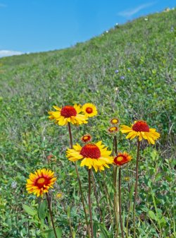 P1160409-copy-2.jpg P1160409-copy-2.jpg