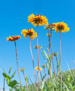 P1160412-copy-2.jpg P1160412-copy-2.jpg