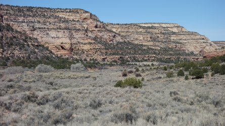 DSC07202_20pc.JPG DSC07202_20pc.JPG