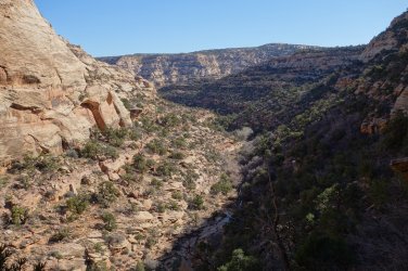 DSC07278_20pc.JPG DSC07278_20pc.JPG