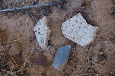 DSC07310_20pc.JPG DSC07310_20pc.JPG