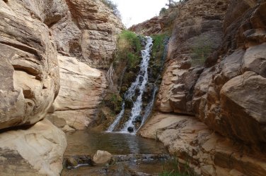 DSC07469_20pc.JPG DSC07469_20pc.JPG