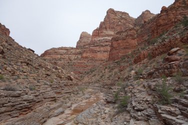 DSC07557_20pc.JPG DSC07557_20pc.JPG