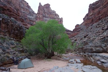 DSC07614_20pc.JPG DSC07614_20pc.JPG