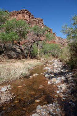 DSC07684_20pc.JPG DSC07684_20pc.JPG