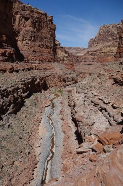 DSC07747_20pc.JPG DSC07747_20pc.JPG